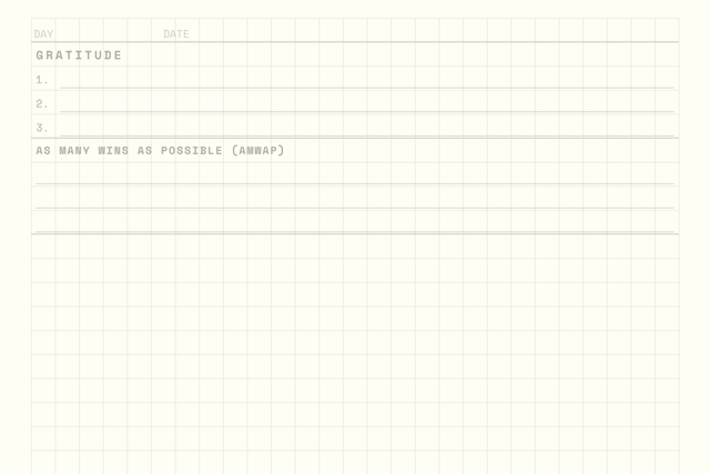 The top of the printed day page: day and date, a gratitude block of three numbered lines, and an as many wins as possible block, on a fine grid
