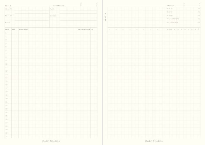 The printed month spread: goals for health, wealth and mind, an adventure plan and outcome, a row for every day with a highlight and a satisfaction score out of five, a habit grid, sleep from three to ten hours, and a rating out of five for health, wealth, mindset, relationships and satisfaction